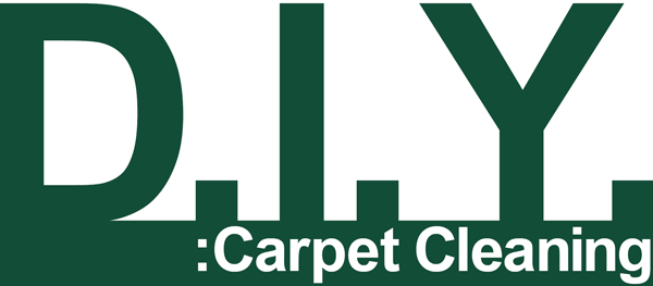 WEB-diy-carpet-cleaning-blog